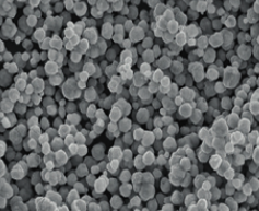 Silver Coated Copper Powder